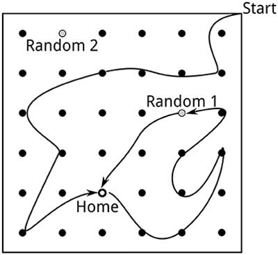 Predictive Place-Cell Sequences for Goal-Finding Emerge from Goal Memory and the Cognitive Map: A Computational Model